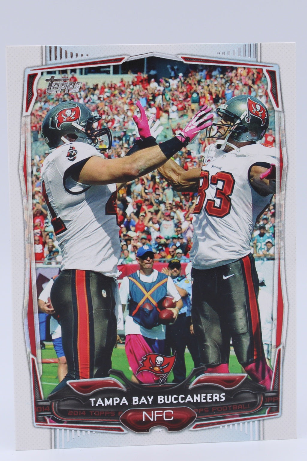 Buccaneers Team Card 226