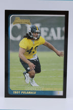 Polamalu Troy