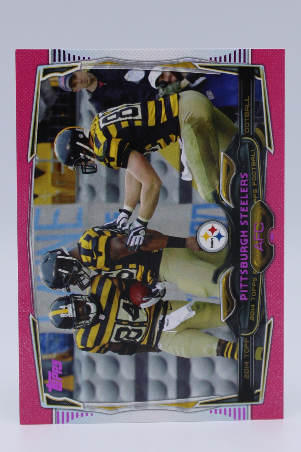 Steelers Team 39
