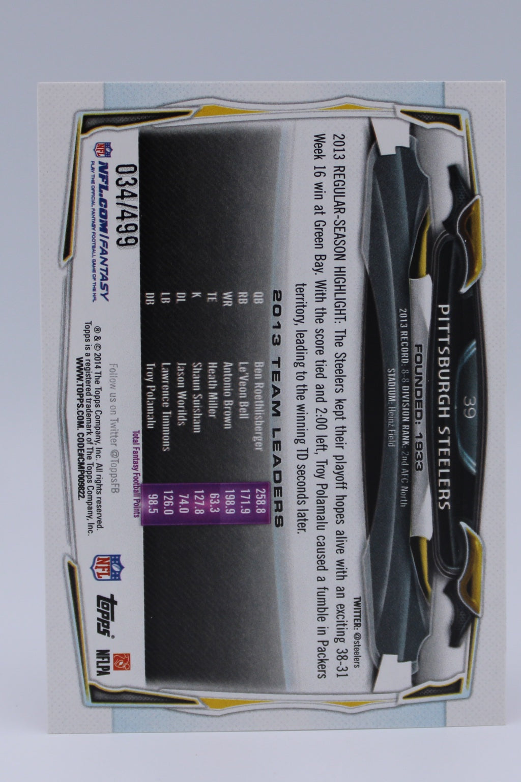 Steelers Team 39