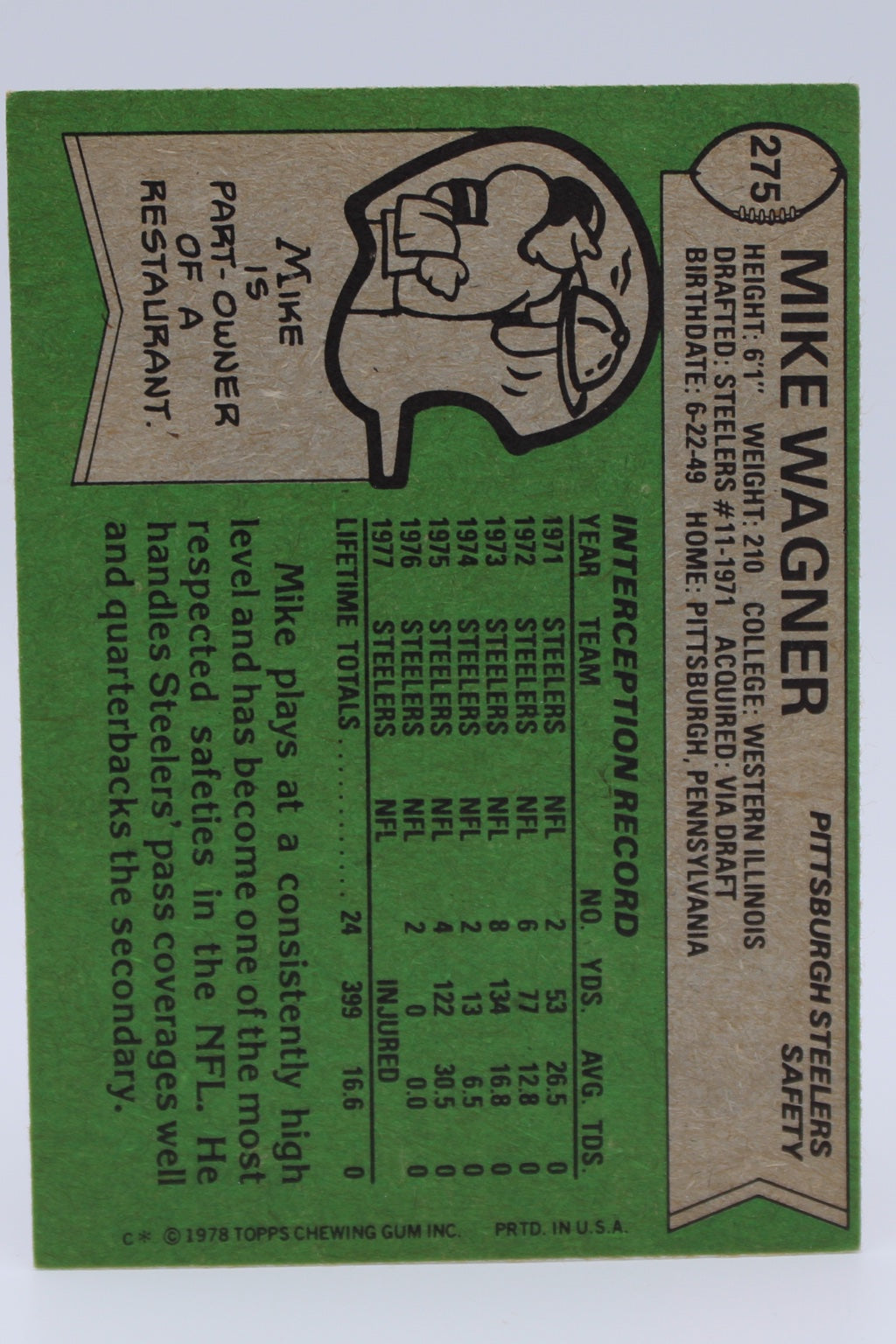 Wagner Mike 275